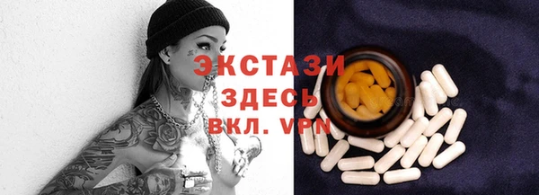 индика Арсеньев
