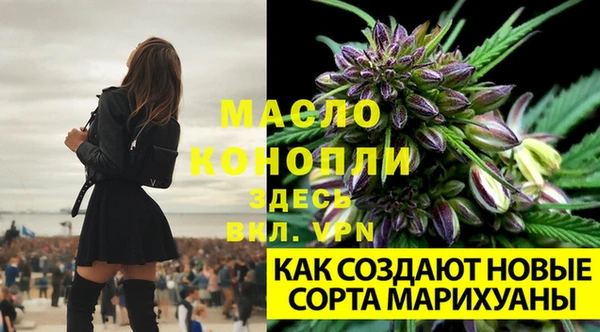 spice Армянск