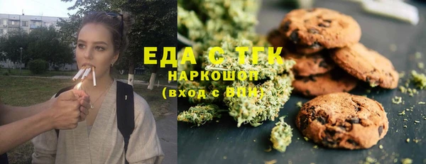 индика Арсеньев