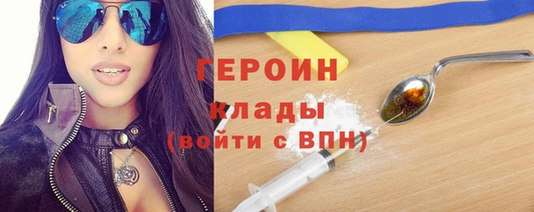 индика Арсеньев
