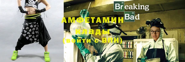 индика Арсеньев