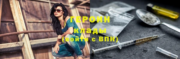 индика Арсеньев