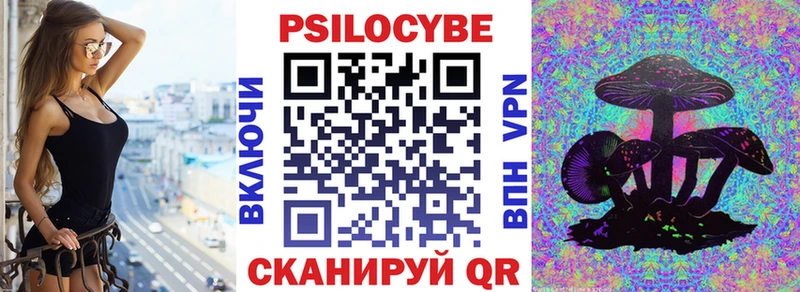 Галлюциногенные грибы Psilocybine cubensis  Калачинск 
